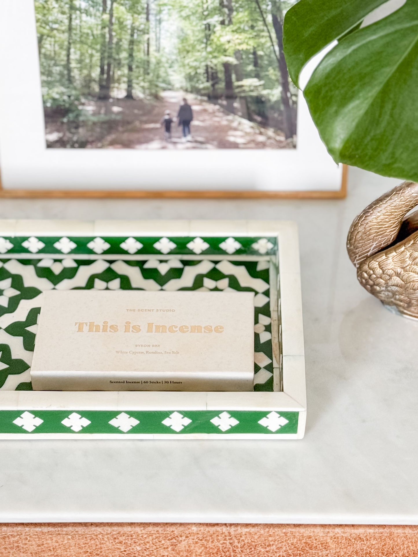 Green and white patterned box with a card inside, placed on a surface with a blurred background of a forest scene.