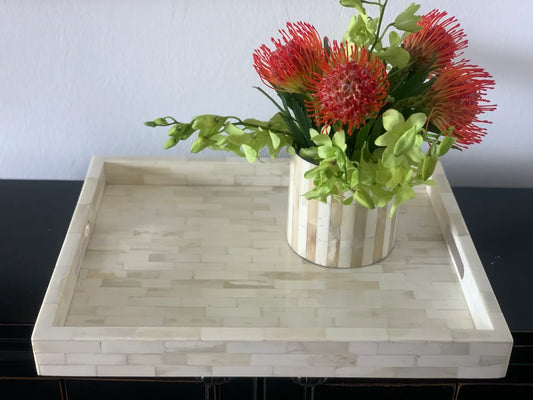 NEUTRAL BONE INLAY TRAY