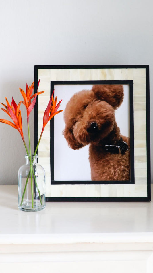 Photo Frame Large, Bone Inlay, East Coast, Black 8R